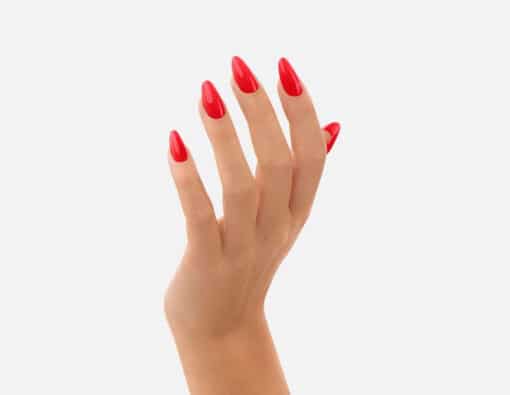 victoria vynn pure creamy gellak 022 ever poppy