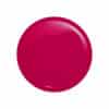 victoria vynn salon gellak 377 endorfina