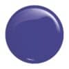 victoria vynn salon gellak 411 dark matter