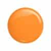 victoria vynn salon gellak 415 mango pop