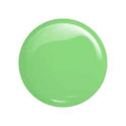 victoria vynn salon gellak 421 lady green
