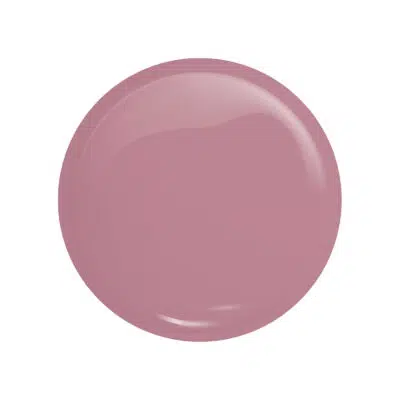 victoria vynn salon gellak 425 macarose