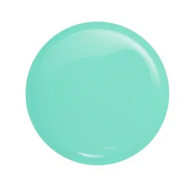 victoria vynn salon gellak 454 fresh minty